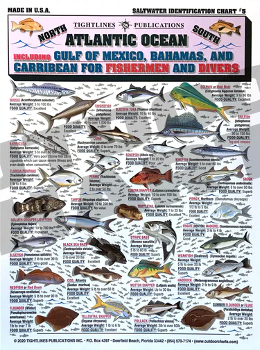 Tightlines Fish ID #5 Chart - Gulf Waters & More