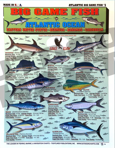 Tightlines Fish ID #1 Chart - Big Game Atlantic